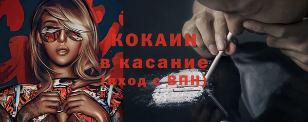 сатива Михайлов