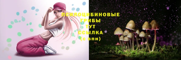 apvp Михайловск