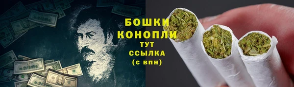 сатива Михайлов