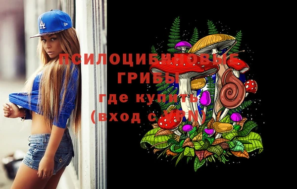 apvp Михайловск