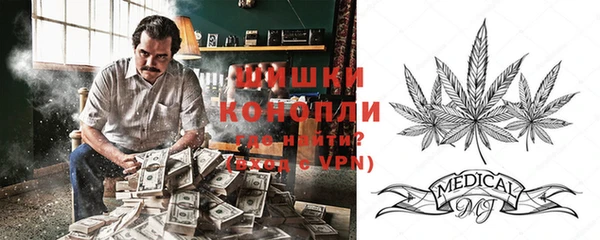 сатива Михайлов
