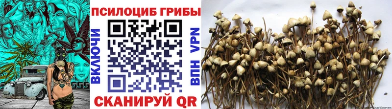 Галлюциногенные грибы GOLDEN TEACHER  купить  цена  Вышний Волочёк 